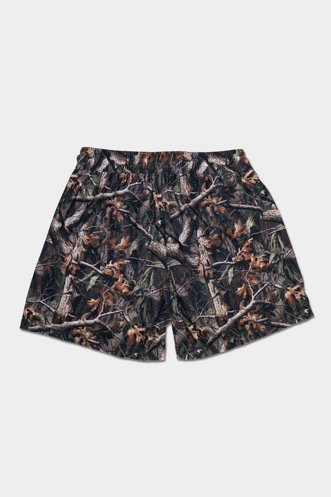 Signature Logo 5 inch inseam Shorts RealTree Camo, Back View 